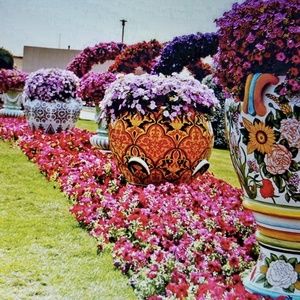 Meet your Posher, Jeana